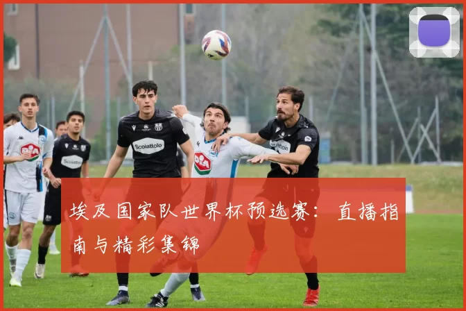 埃及国家队世界杯预选赛:直播指南与精彩集锦