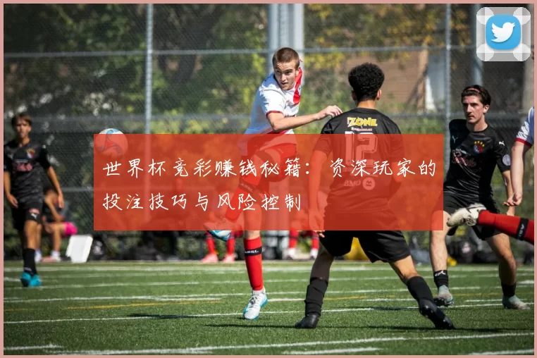 世界杯竞彩赚钱秘籍:资深玩家的投注技巧与风险控制