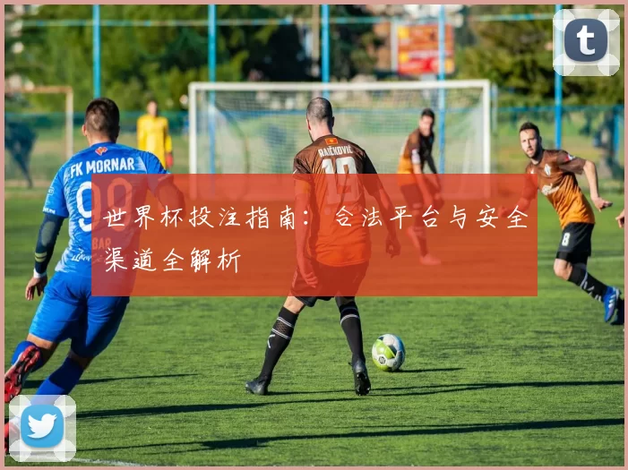 世界杯投注指南:合法平台与安全渠道全解析