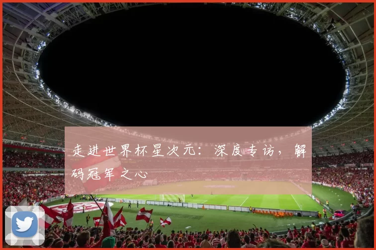 走进世界杯星次元:深度专访,解码冠军之心