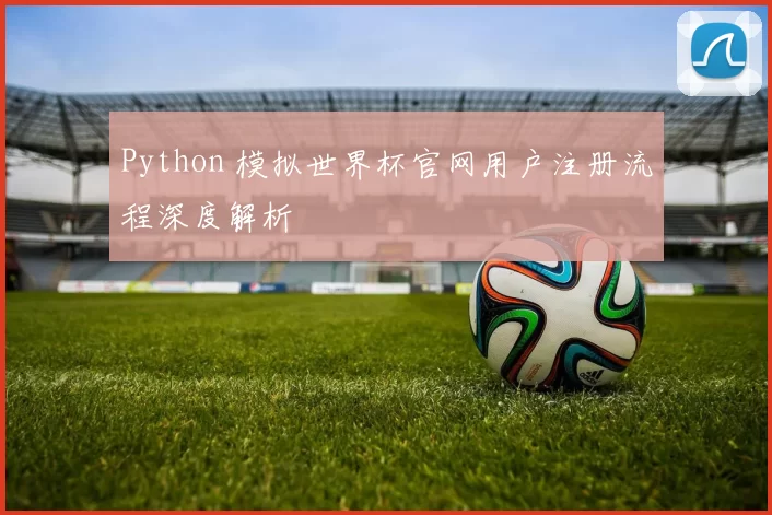Python 模拟世界杯官网用户注册流程深度解析