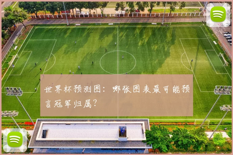 世界杯预测图:哪张图表最可能预言冠军归属?
