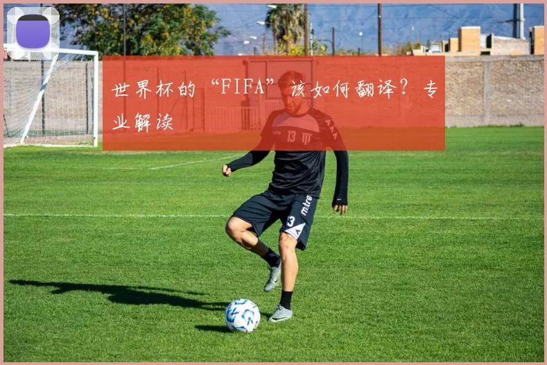 世界杯的“FIFA”该如何翻译?专业解读