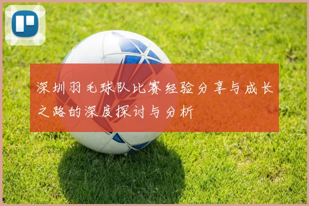 深圳羽毛球队比赛经验分享与成长之路的深度探讨与分析