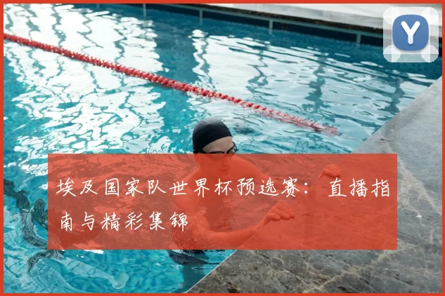 埃及国家队世界杯预选赛:直播指南与精彩集锦