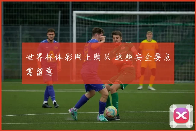 世界杯体彩网上购买 这些安全要点需留意