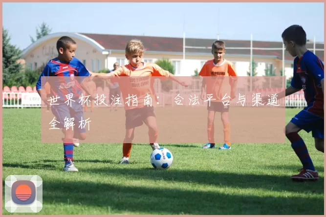 世界杯投注指南：合法平台与渠道全解析